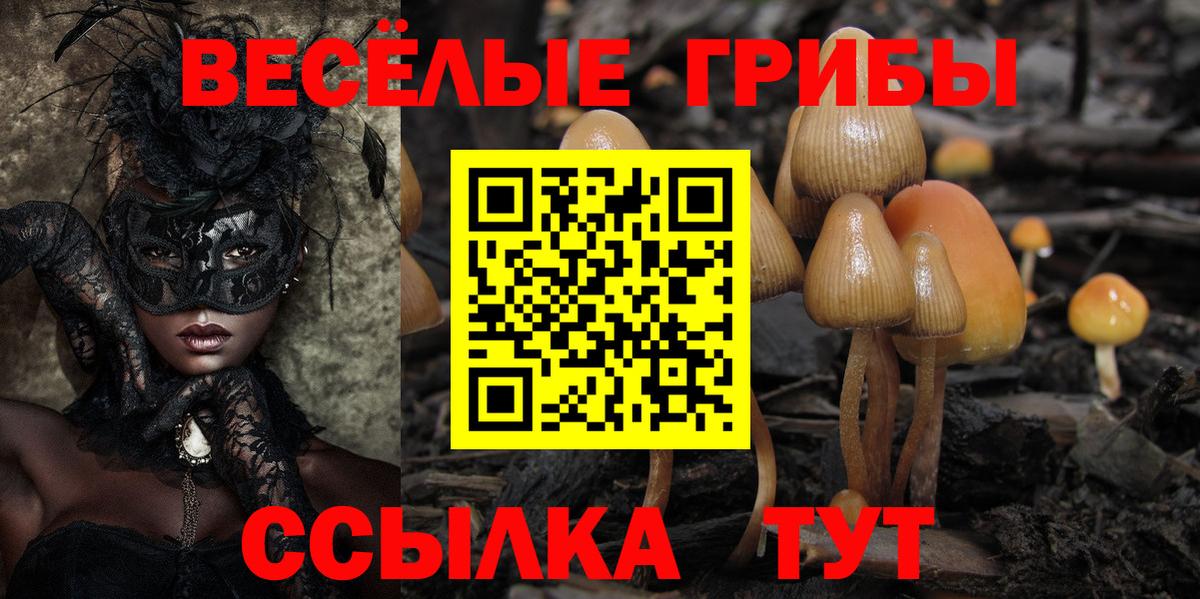 Псилоцибиновые грибы мицелий  Вход с VPN  Родники 