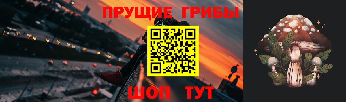 Псилоцибиновые грибы мухоморы Родники